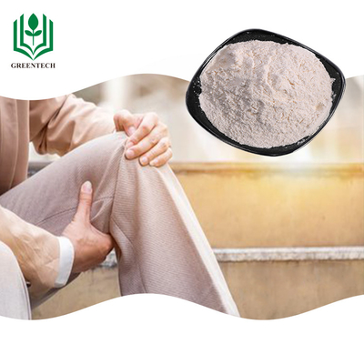 Chondroitin van het haaikraakbeen Sulfaatsupplement van Wit Poeder voor Psoriasis